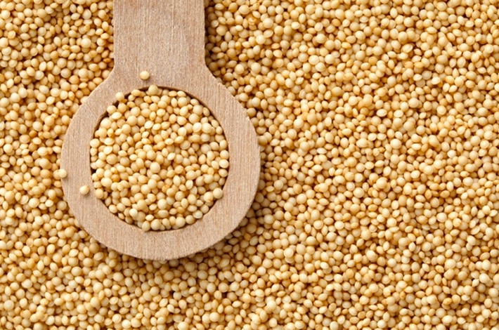 Para consumir el amaranto, se puede utilizar la hoja, los granos y la panoja. Los granos son los que más se han usado para cereales y harinas que pueden incorporarse al pan y a otras preparaciones.